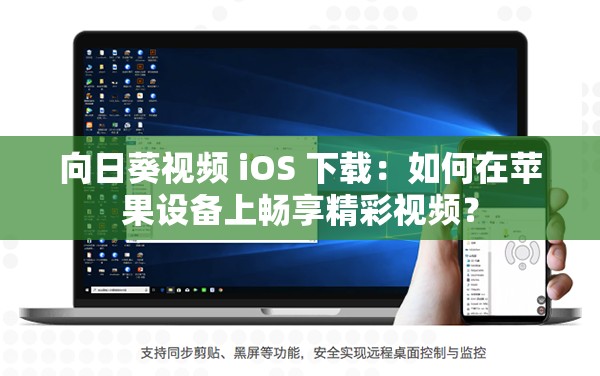 向日葵视频 iOS 下载：如何在苹果设备上畅享精彩视频？