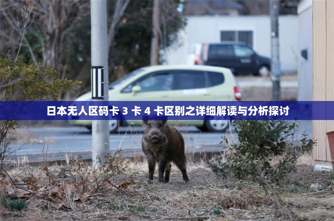 日本无人区码卡 3 卡 4 卡区别之详细解读与分析探讨
