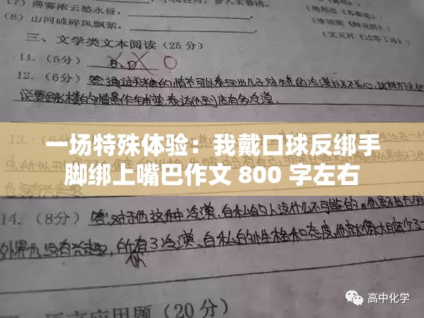 一场特殊体验：我戴口球反绑手脚绑上嘴巴作文 800 字左右