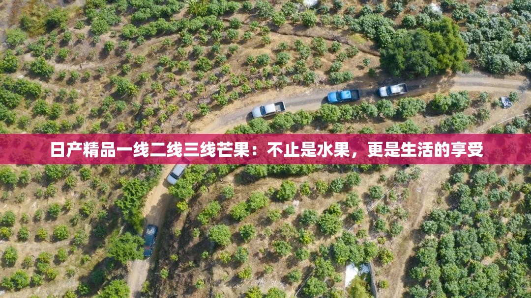 日产精品一线二线三线芒果：不止是水果，更是生活的享受
