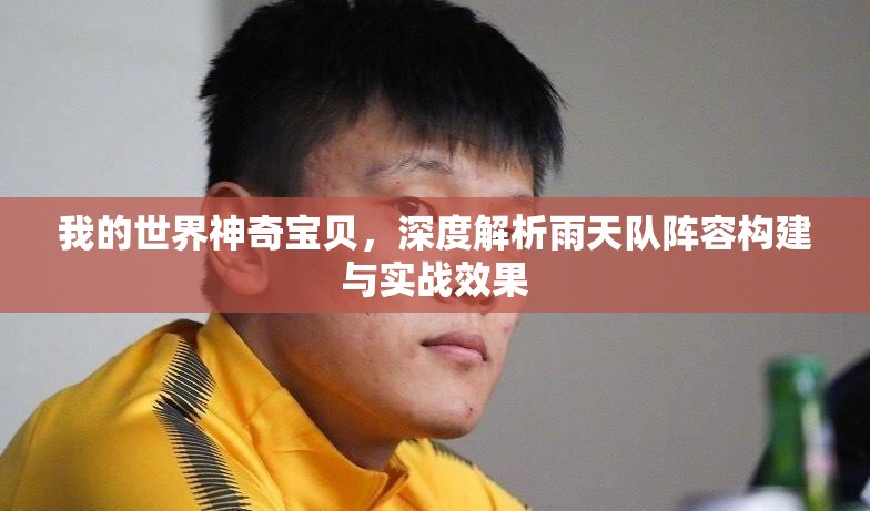 我的世界神奇宝贝，深度解析雨天队阵容构建与实战效果