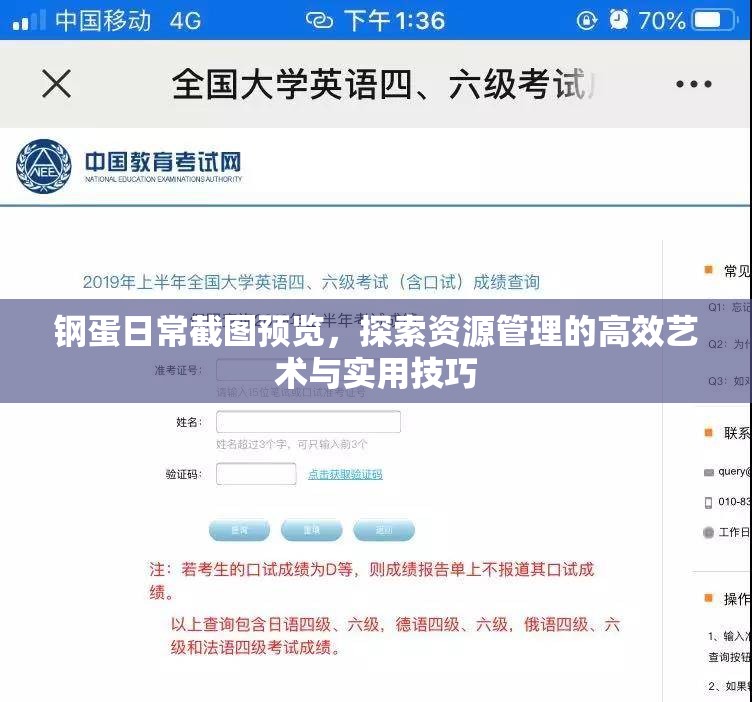 钢蛋日常截图预览，探索资源管理的高效艺术与实用技巧
