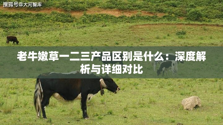 老牛嫩草一二三产品区别是什么：深度解析与详细对比