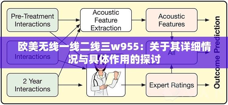 欧美无线一线二线三w955：关于其详细情况与具体作用的探讨