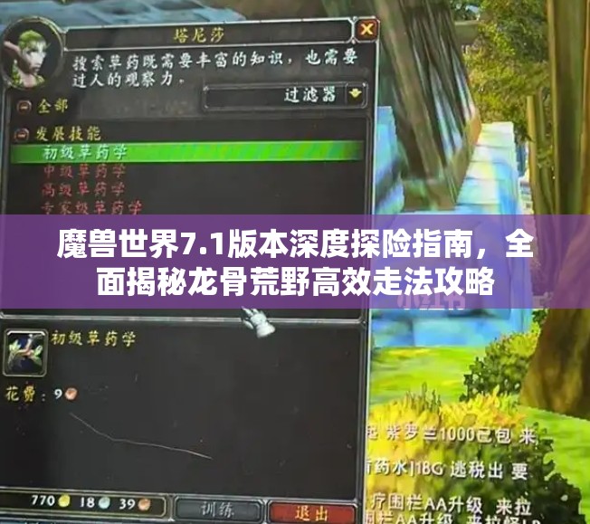 魔兽世界7.1版本深度探险指南，全面揭秘龙骨荒野高效走法攻略