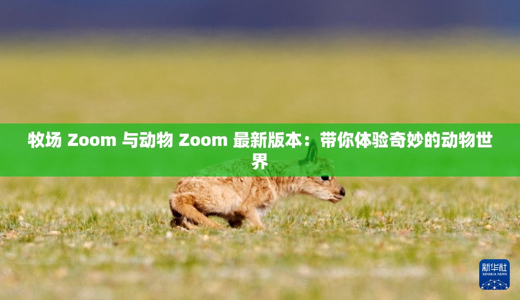 牧场 Zoom 与动物 Zoom 最新版本：带你体验奇妙的动物世界