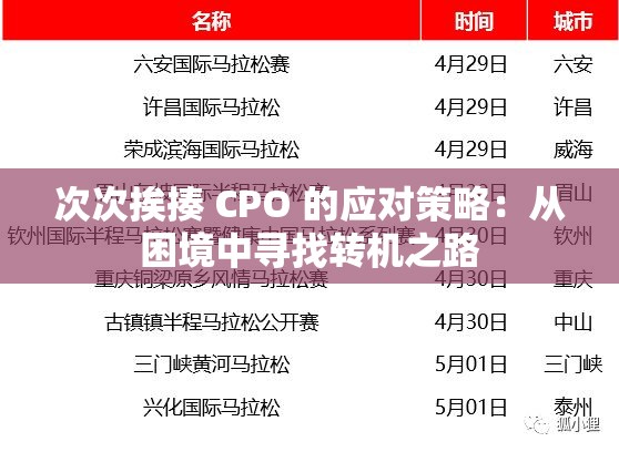 次次挨揍 CPO 的应对策略：从困境中寻找转机之路