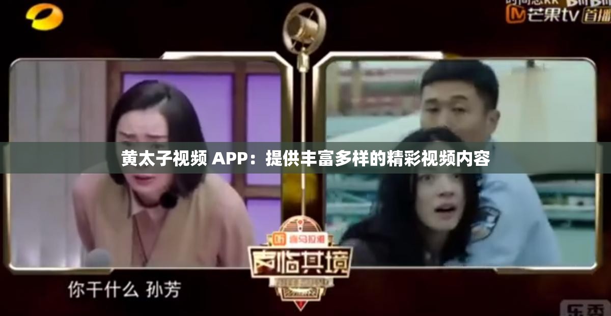 黄太子视频 APP：提供丰富多样的精彩视频内容