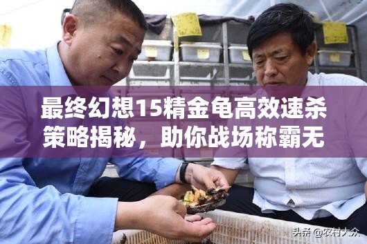 最终幻想15精金龟高效速杀策略揭秘，助你战场称霸无忧