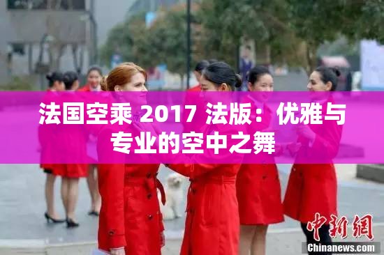 法国空乘 2017 法版：优雅与专业的空中之舞