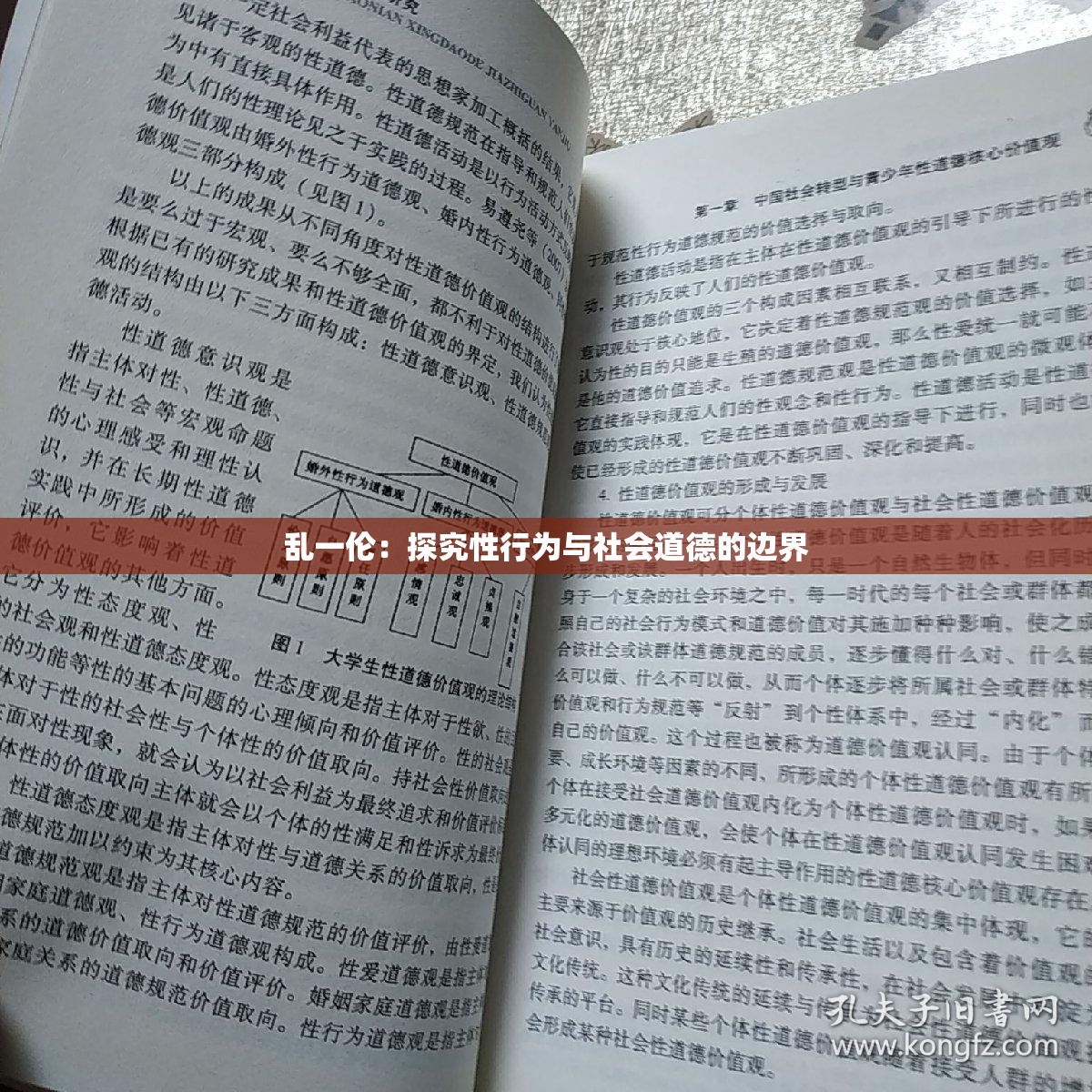 乱一伦：探究性行为与社会道德的边界