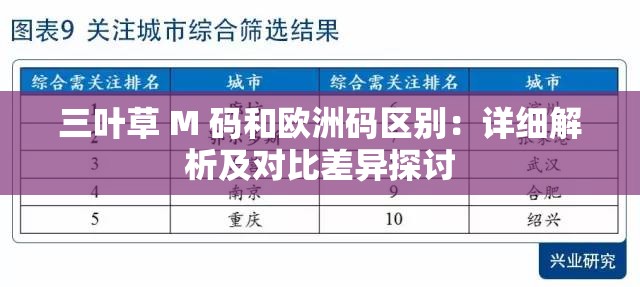 三叶草 M 码和欧洲码区别：详细解析及对比差异探讨