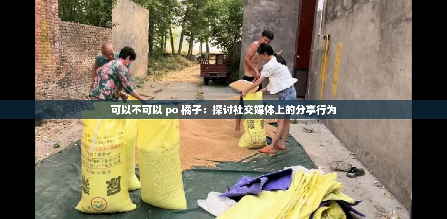 可以不可以 po 橘子：探讨社交媒体上的分享行为