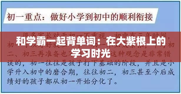 和学霸一起背单词：在大紫根上的学习时光