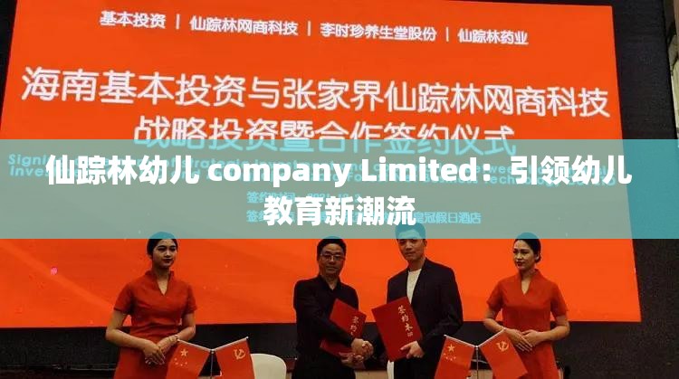 仙踪林幼儿 company Limited：引领幼儿教育新潮流