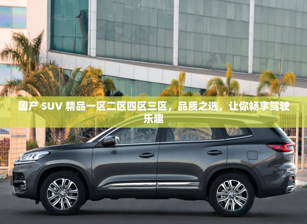 国产 SUV 精品一区二区四区三区，品质之选，让你畅享驾驶乐趣