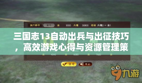 三国志13自动出兵与出征技巧，高效游戏心得与资源管理策略