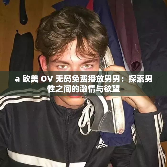 a 欧美 OV 无码免费播放男男：探索男性之间的激情与欲望