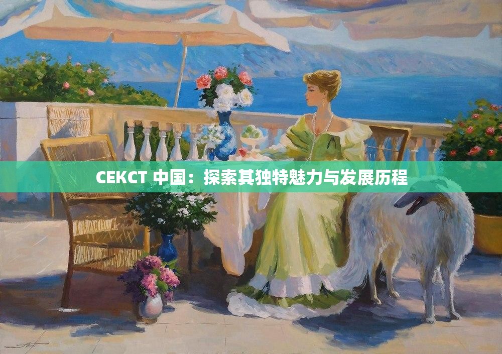 СЕКСТ 中国：探索其独特魅力与发展历程