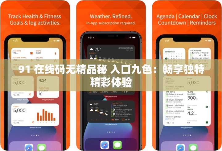91 在线码无精品秘 入口九色：畅享独特精彩体验