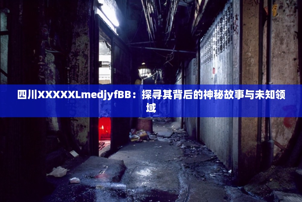 四川XXXXXLmedjyfBB：探寻其背后的神秘故事与未知领域