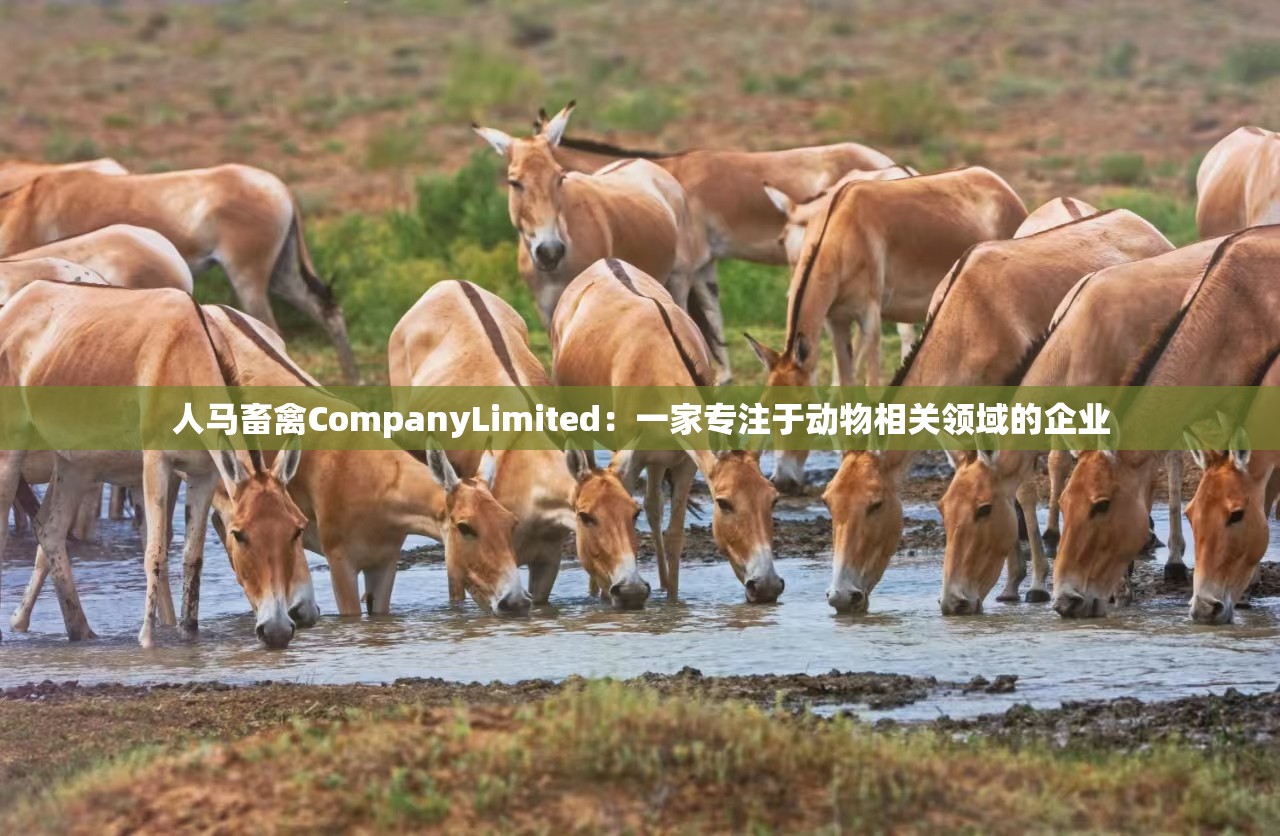 人马畜禽CompanyLimited：一家专注于动物相关领域的企业