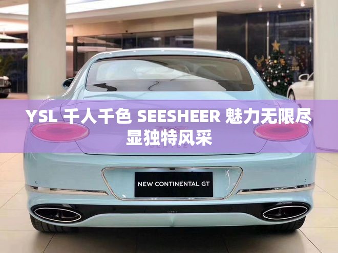 YSL 千人千色 SEESHEER 魅力无限尽显独特风采