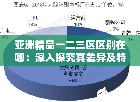 亚洲精品一二三区区别在哪：深入探究其差异及特点成因