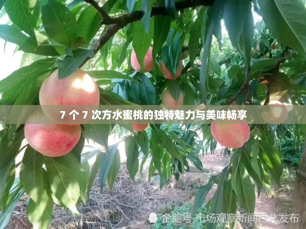 7 个 7 次方水蜜桃的独特魅力与美味畅享