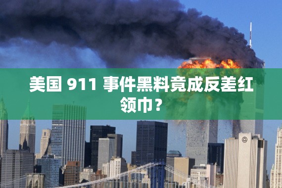 美国 911 事件黑料竟成反差红领巾？