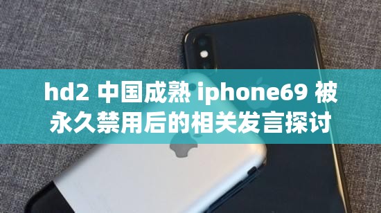 hd2 中国成熟 iphone69 被永久禁用后的相关发言探讨