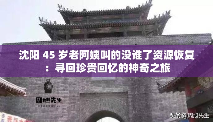 沈阳 45 岁老阿姨叫的没谁了资源恢复：寻回珍贵回忆的神奇之旅