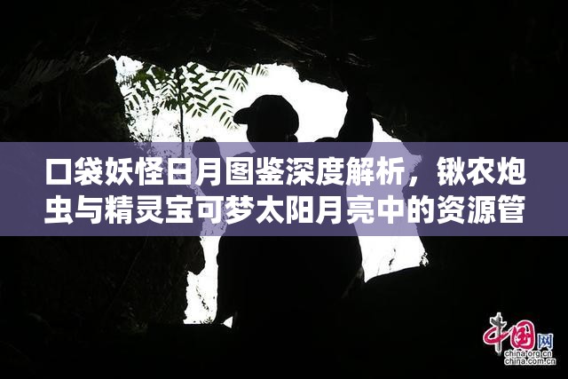 口袋妖怪日月图鉴深度解析，锹农炮虫与精灵宝可梦太阳月亮中的资源管理策略艺术