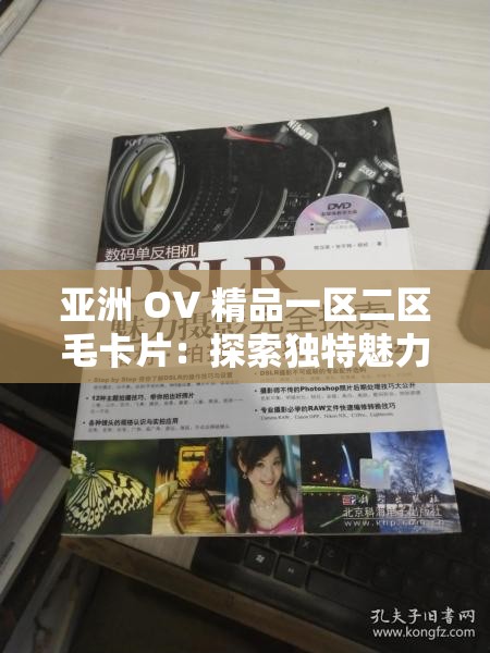 亚洲 OV 精品一区二区毛卡片：探索独特魅力之佳作