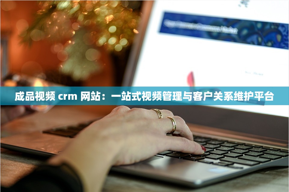 成品视频 crm 网站：一站式视频管理与客户关系维护平台