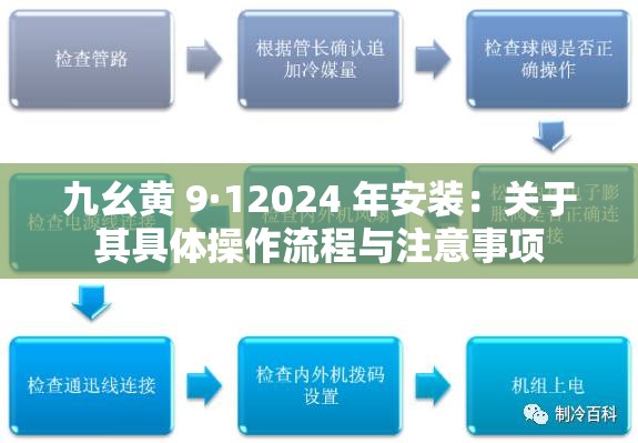 九幺黄 9·12024 年安装：关于其具体操作流程与注意事项