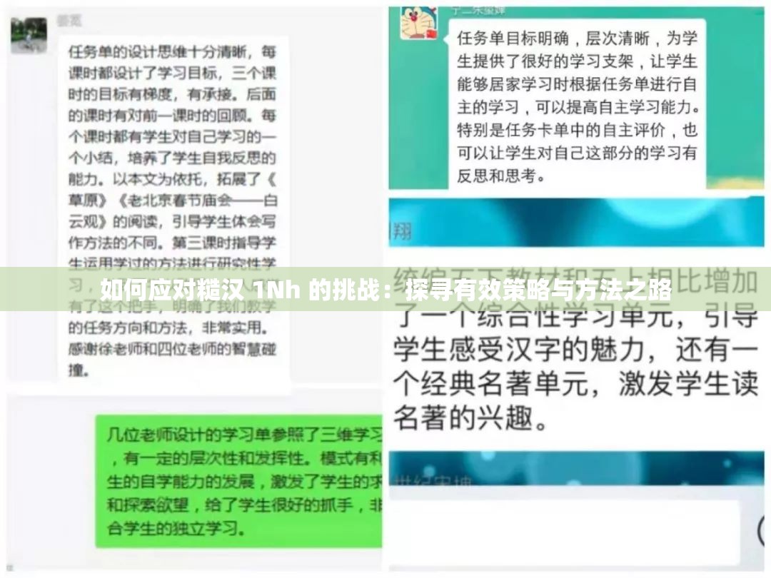 如何应对糙汉 1Nh 的挑战：探寻有效策略与方法之路