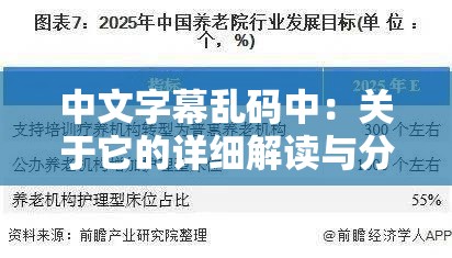 中文字幕乱码中：关于它的详细解读与分析