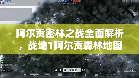 阿尔贡密林之战全面解析，战地1阿尔贡森林地图深度攻略指南