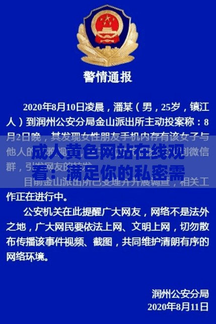 成人黄色网站在线观看：满足你的私密需求