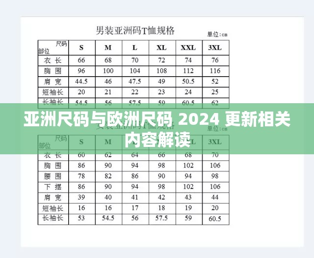 亚洲尺码与欧洲尺码 2024 更新相关内容解读