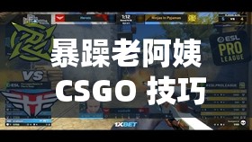 暴躁老阿姨 CSGO 技巧迎来榜一大哥粉丝：打游戏还能收获爱情？