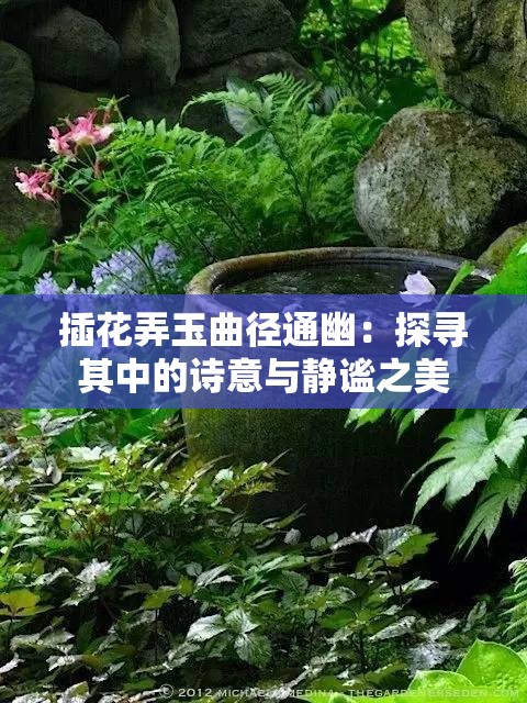 插花弄玉曲径通幽：探寻其中的诗意与静谧之美