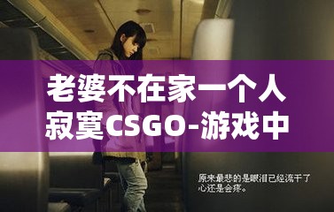 老婆不在家一个人寂寞CSGO-游戏中的孤独狂欢与内心渴望