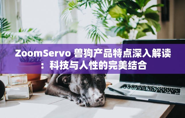 ZoomServo 兽狗产品特点深入解读：科技与人性的完美结合