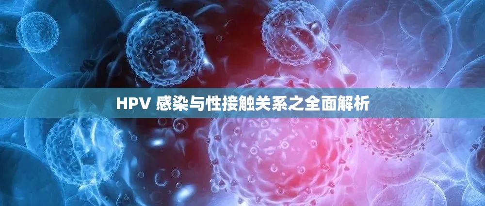 HPV 感染与性接触关系之全面解析