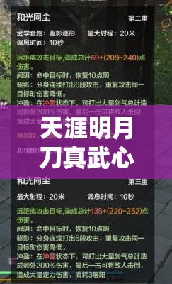 天涯明月刀真武心法深度解析，全面解锁并提升你的战斗潜能与策略