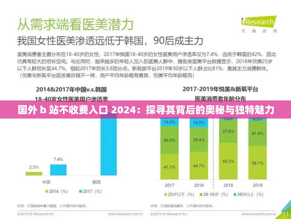 国外 b 站不收费入口 2024：探寻其背后的奥秘与独特魅力