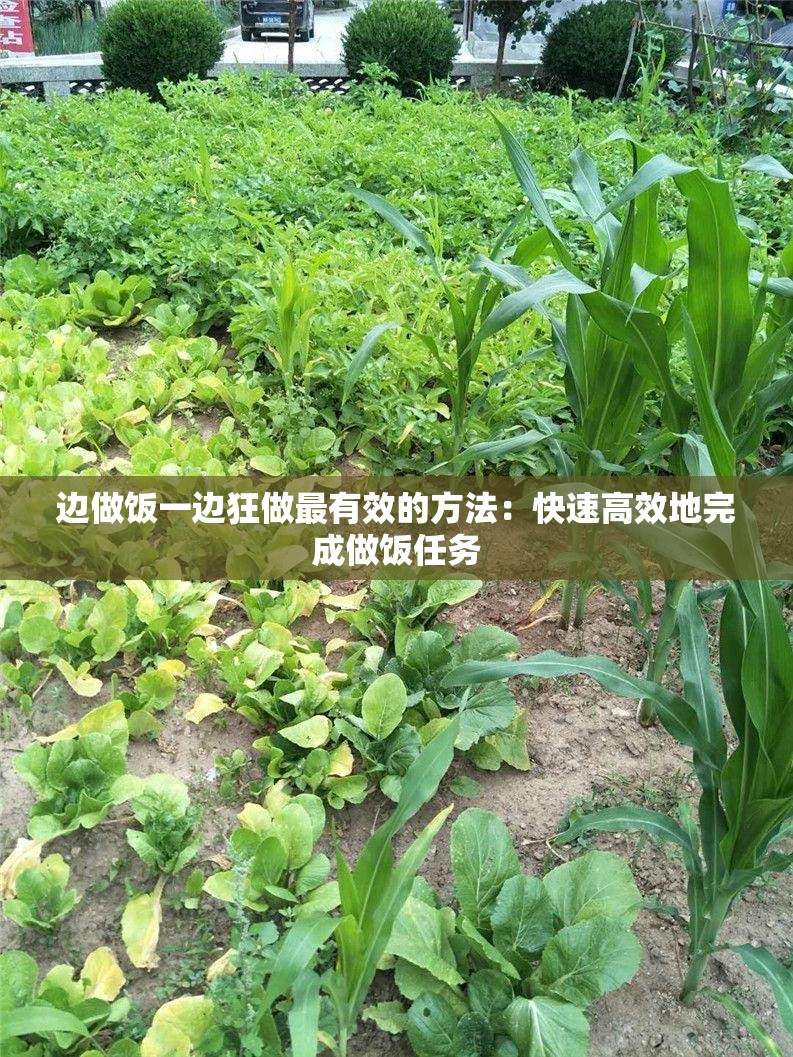 边做饭一边狂做最有效的方法：快速高效地完成做饭任务