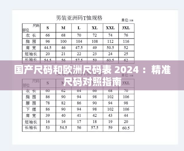 国产尺码和欧洲尺码表 2024 ：精准尺码对照指南